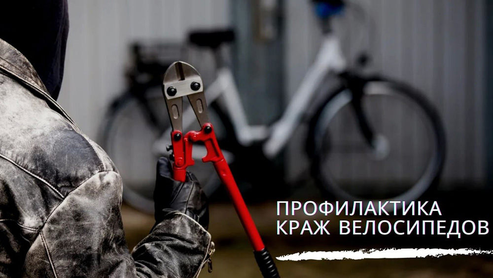 С каждым годом растет количество велосипедов..