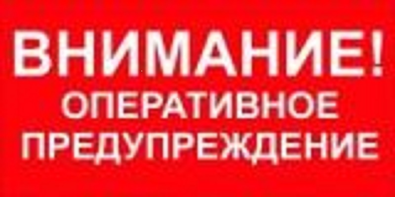 По Ивановской области ожидается небольшой снег, местами метель, на дорогах в отдельных районах снежные заносы..