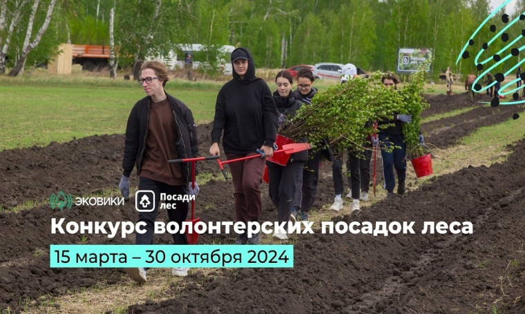Открытый конкурс посадок деревьев на лесных территориях, пострадавших от природных катаклизмов.. Открытый конкурс посадок деревьев на лесных территориях, пострадавших от природных катаклизмов..