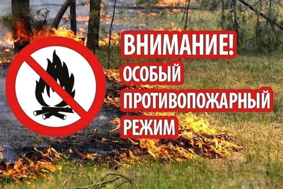 Уважаемые жители и гости Ивановской области! Соблюдайте меры пожарной безопасности в весенне-летний пожароопасный период!. Уважаемые жители и гости Ивановской области! Соблюдайте меры пожарной безопасности в весенне-летний пожароопасный период!.