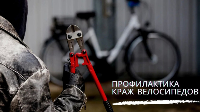 С каждым годом растет количество велосипедов.. С каждым годом растет количество велосипедов..